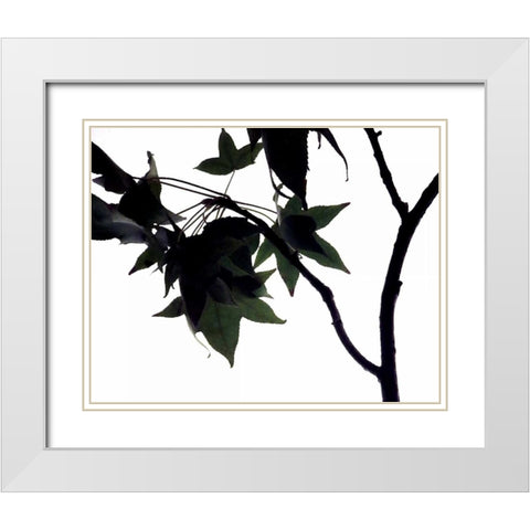 Maple Branch I White Modern Wood Framed Art Print with Double Matting by Burkhart, Monika