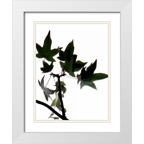 Maple Branch III White Modern Wood Framed Art Print with Double Matting by Burkhart, Monika
