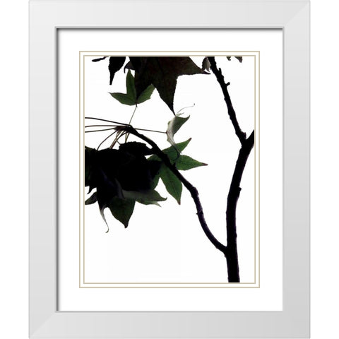 Maple Branch IV White Modern Wood Framed Art Print with Double Matting by Burkhart, Monika