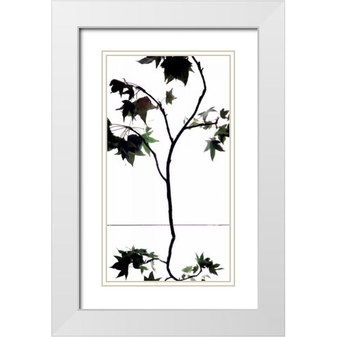 Maple Branch V White Modern Wood Framed Art Print with Double Matting by Burkhart, Monika