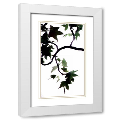 Maple Branch VI White Modern Wood Framed Art Print with Double Matting by Burkhart, Monika