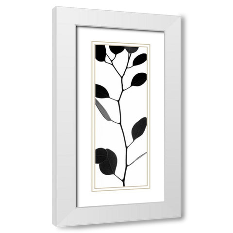 Lunaria Honesty I White Modern Wood Framed Art Print with Double Matting by Burkhart, Monika