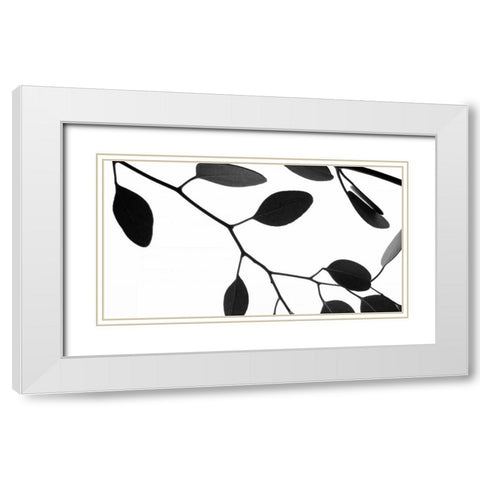 Lunaria Honesty III White Modern Wood Framed Art Print with Double Matting by Burkhart, Monika
