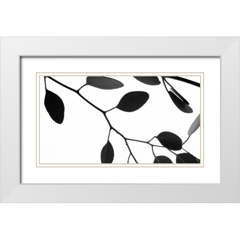 Lunaria Honesty III White Modern Wood Framed Art Print with Double Matting by Burkhart, Monika
