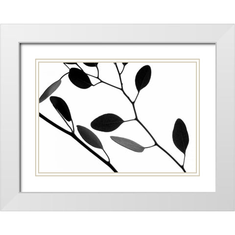 Lunaria Honesty IV White Modern Wood Framed Art Print with Double Matting by Burkhart, Monika