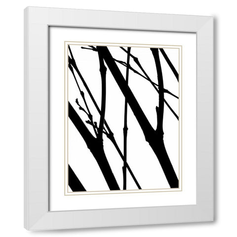 Branch Silhouette I White Modern Wood Framed Art Print with Double Matting by Burkhart, Monika