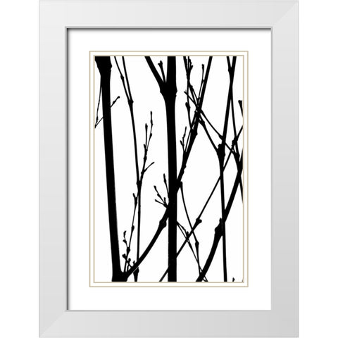 Branch Silhouette IV White Modern Wood Framed Art Print with Double Matting by Burkhart, Monika