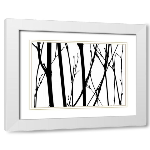 Branch Silhouette V White Modern Wood Framed Art Print with Double Matting by Burkhart, Monika
