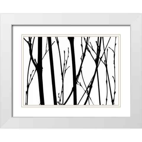 Branch Silhouette V White Modern Wood Framed Art Print with Double Matting by Burkhart, Monika