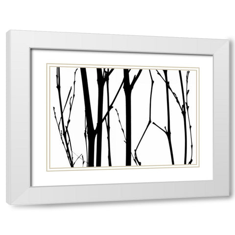 Branch Silhouette VI White Modern Wood Framed Art Print with Double Matting by Burkhart, Monika