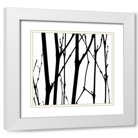 Dancing Branches VI White Modern Wood Framed Art Print with Double Matting by Burkhart, Monika