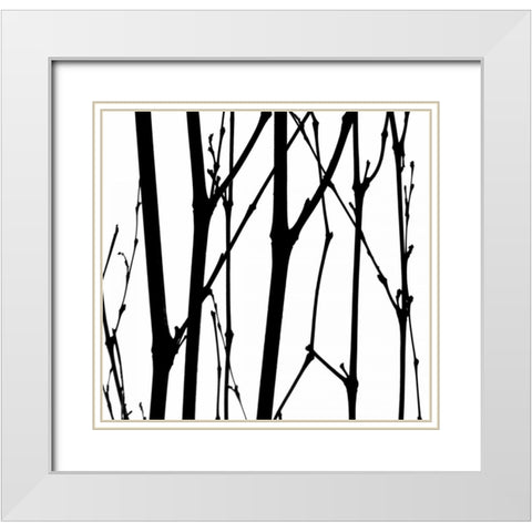 Dancing Branches VI White Modern Wood Framed Art Print with Double Matting by Burkhart, Monika