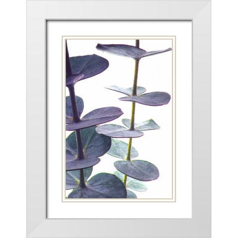 Eucalyptus I White Modern Wood Framed Art Print with Double Matting by Burkhart, Monika