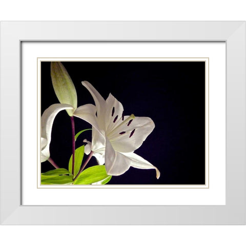 White Lilies I White Modern Wood Framed Art Print with Double Matting by Burkhart, Monika