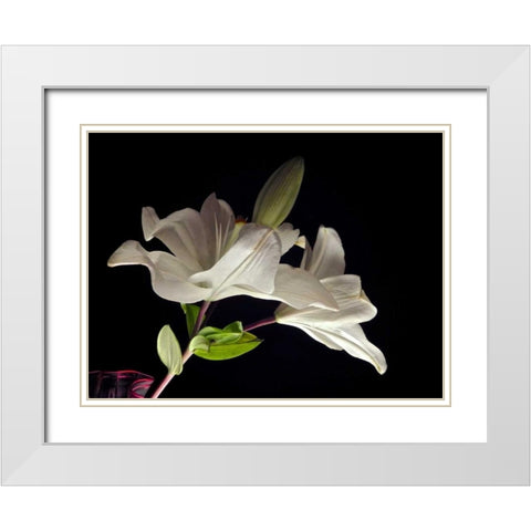 White Lilies II White Modern Wood Framed Art Print with Double Matting by Burkhart, Monika