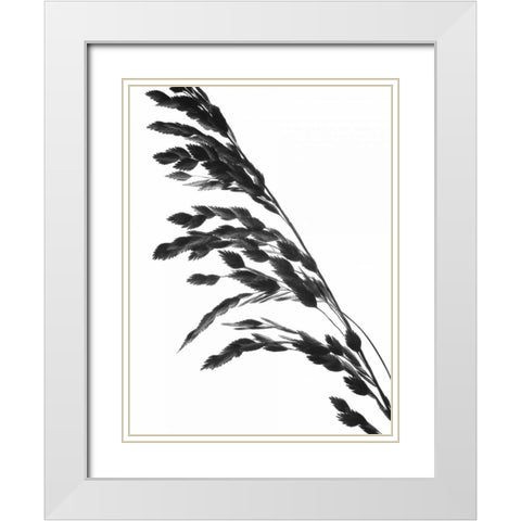 Soliloquy I White Modern Wood Framed Art Print with Double Matting by Burkhart, Monika