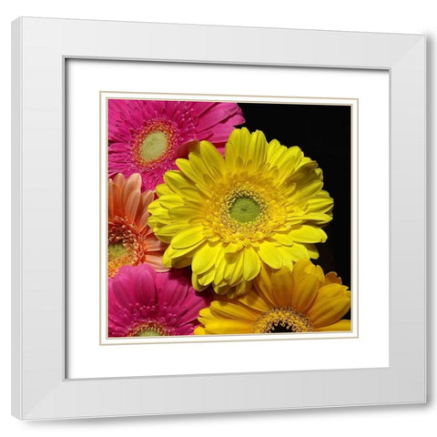 Spring Potpourri II White Modern Wood Framed Art Print with Double Matting by Burkhart, Monika