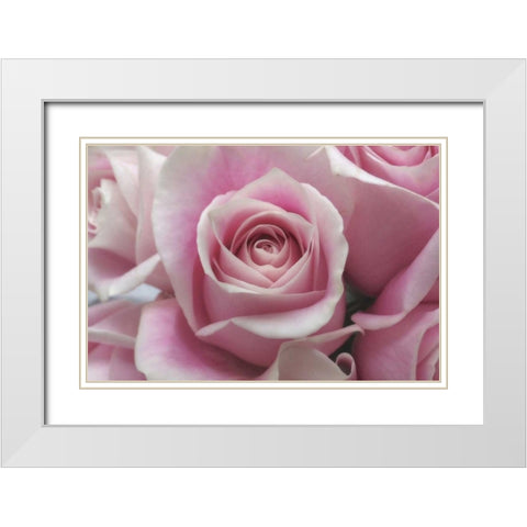 Perfectly Pink III White Modern Wood Framed Art Print with Double Matting by Burkhart, Monika