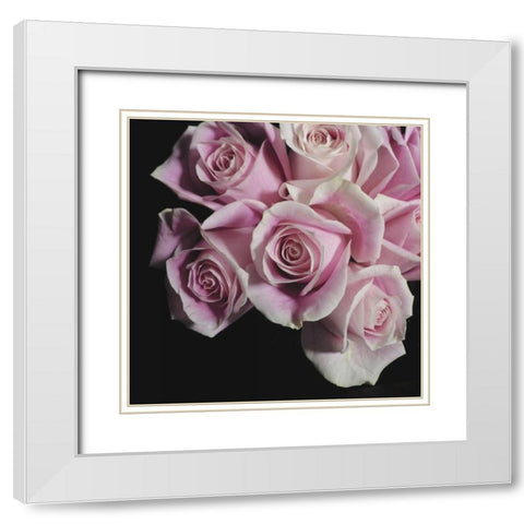 Moonlight and Roses I White Modern Wood Framed Art Print with Double Matting by Burkhart, Monika