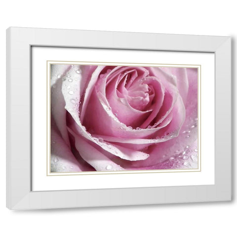 Raindrops and Roses I White Modern Wood Framed Art Print with Double Matting by Burkhart, Monika