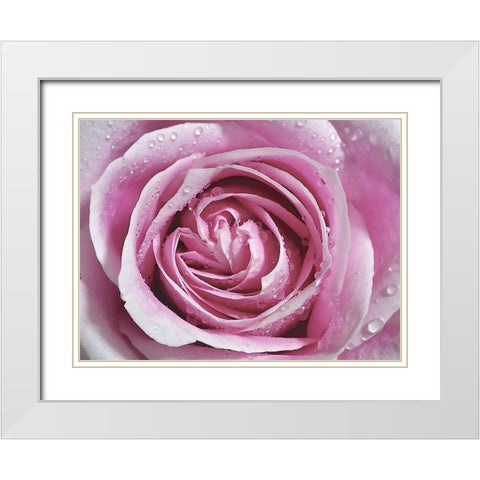 Raindrops and Roses II White Modern Wood Framed Art Print with Double Matting by Burkhart, Monika