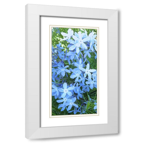 Variations in Blue I White Modern Wood Framed Art Print with Double Matting by Burkhart, Monika