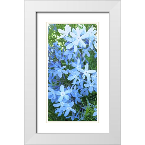 Variations in Blue I White Modern Wood Framed Art Print with Double Matting by Burkhart, Monika