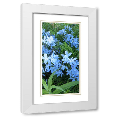 Variations in Blue II White Modern Wood Framed Art Print with Double Matting by Burkhart, Monika