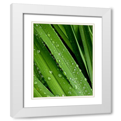 April Rain II White Modern Wood Framed Art Print with Double Matting by Burkhart, Monika