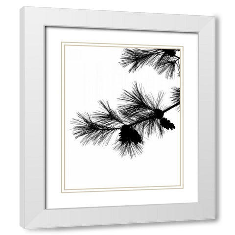 Pine Soliloquy I White Modern Wood Framed Art Print with Double Matting by Burkhart, Monika