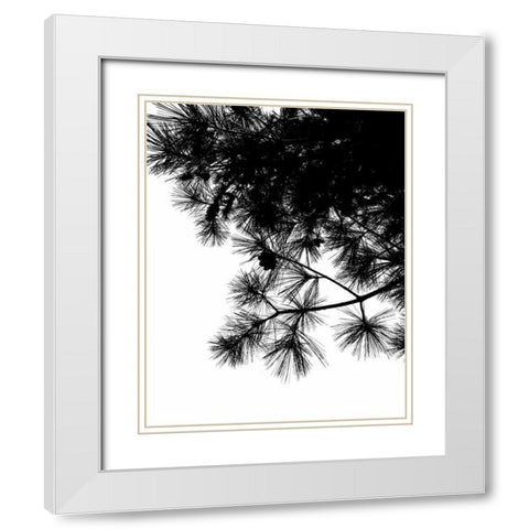 Pine Soliloquy II White Modern Wood Framed Art Print with Double Matting by Burkhart, Monika