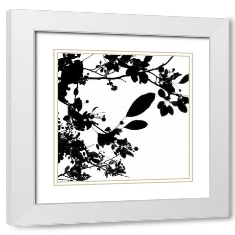 Last of Summer I White Modern Wood Framed Art Print with Double Matting by Burkhart, Monika