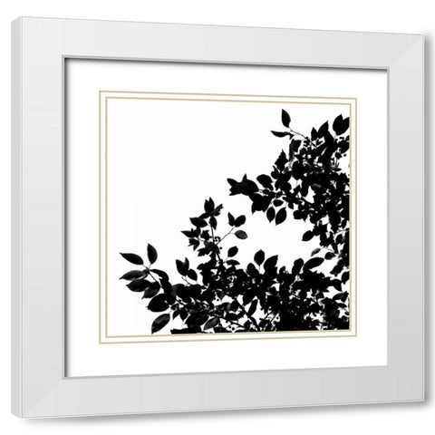 Last of Summer II White Modern Wood Framed Art Print with Double Matting by Burkhart, Monika