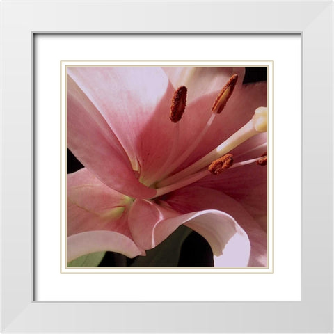 Pink Translucence II White Modern Wood Framed Art Print with Double Matting by Burkhart, Monika