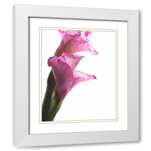 Beauty in the Bloom I White Modern Wood Framed Art Print with Double Matting by Burkhart, Monika