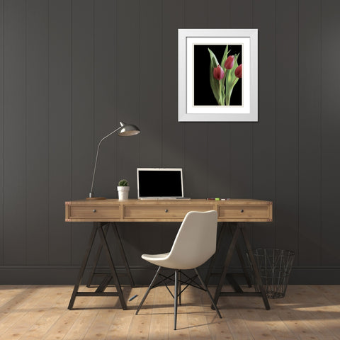 Blush of Spring II White Modern Wood Framed Art Print with Double Matting by Burkhart, Monika