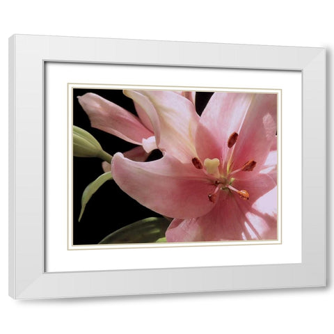 Pink Translucence III White Modern Wood Framed Art Print with Double Matting by Burkhart, Monika