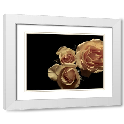 LEssence de la Rose I White Modern Wood Framed Art Print with Double Matting by Burkhart, Monika