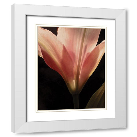 Blooming Peach Floral White Modern Wood Framed Art Print with Double Matting by Burkhart, Monika
