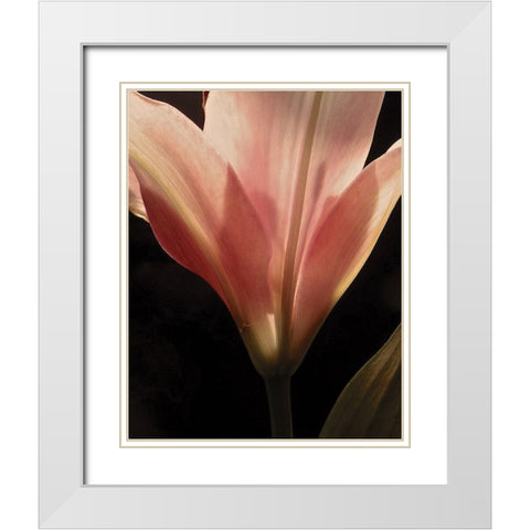 Blooming Peach Floral White Modern Wood Framed Art Print with Double Matting by Burkhart, Monika