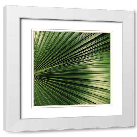 Nature Up-Close IV White Modern Wood Framed Art Print with Double Matting by Burkhart, Monika