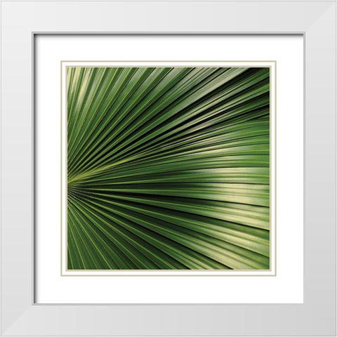 Nature Up-Close IV White Modern Wood Framed Art Print with Double Matting by Burkhart, Monika