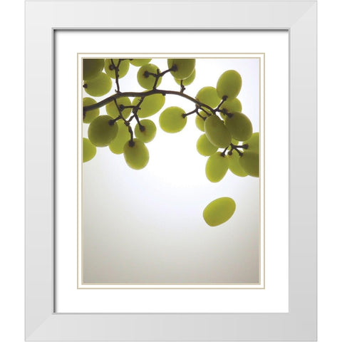 Grape Bunch I White Modern Wood Framed Art Print with Double Matting by Burkhart, Monika