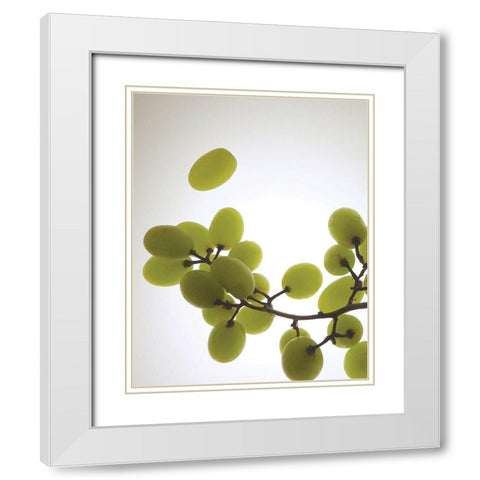 Grape Bunch II White Modern Wood Framed Art Print with Double Matting by Burkhart, Monika