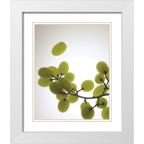 Grape Bunch II White Modern Wood Framed Art Print with Double Matting by Burkhart, Monika