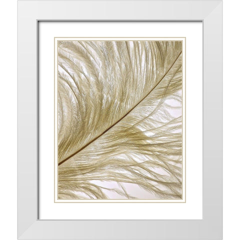 Feather Close-Up II White Modern Wood Framed Art Print with Double Matting by Burkhart, Monika