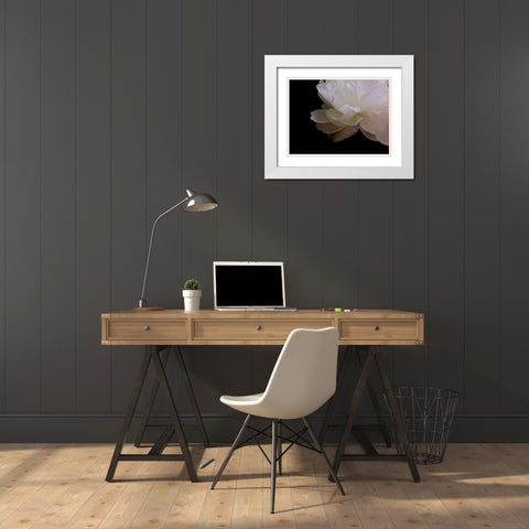 White Peony I White Modern Wood Framed Art Print with Double Matting by Burkhart, Monika