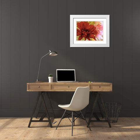 Gerbera Daisies White Modern Wood Framed Art Print with Double Matting by Burkhart, Monika