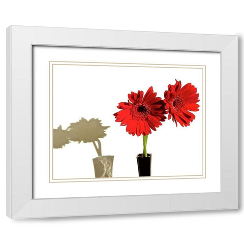 Daisy Shadows White Modern Wood Framed Art Print with Double Matting by Burkhart, Monika