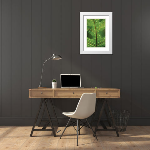 Spotted Leaf I White Modern Wood Framed Art Print with Double Matting by Berzel, Erin